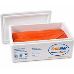 Filete de Salmón Fresco Premium | Venta Mayorista Web