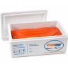 Filete de Salmón Fresco Premium | Venta Mayorista Web
