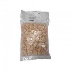 Ostión Sin Coral Partido para Relleno desde 5 Kg | Venta Mayorista