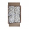 Anillos de Calamar Vaina IQF Mayorista | Caja 10 kg | Tranmar
