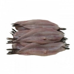 Filete de Merluza Fresca (Pescada) | Venta por Kilo | Tranmar