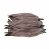 Filete de Merluza Fresca (Pescada) | Venta por Kilo | Tranmar