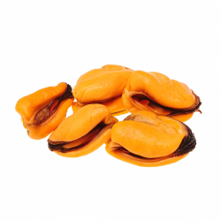 Choritos IQF Congelados | Venta desde 10 Kilos | Tranmar