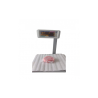 Atún Steack 6–8 oz (170–227 g) – Filete Premium Congelado