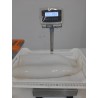 Jibia Filete Congelada Saco 20 kg | Venta Mayorista