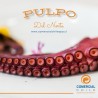 Pulpo del Norte Calibre 1–2 kg | Venta Mayorista desde 10 Kg